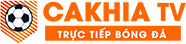 mẫu đơn ly hôn
